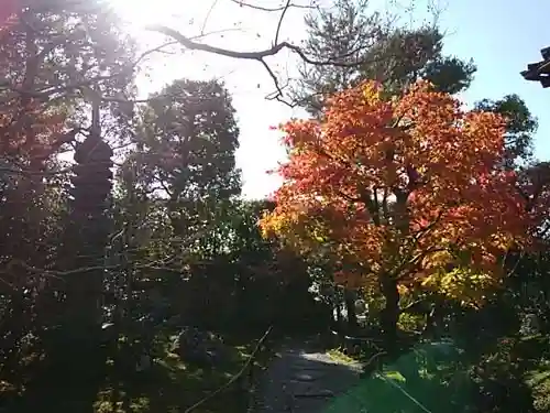 養徳院の景色