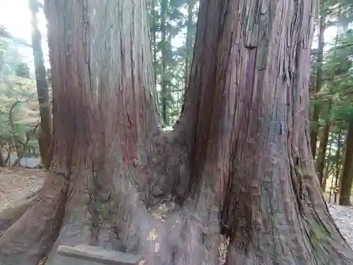 三峯神社の自然