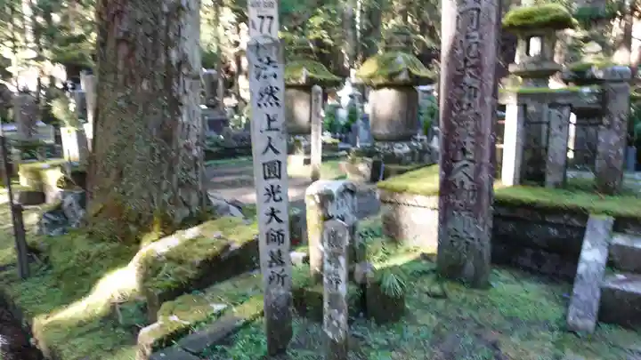 高野山金剛峯寺奥の院(和歌山県)