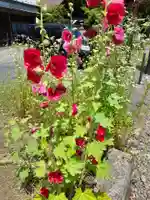 愛宕神社(岩手県)