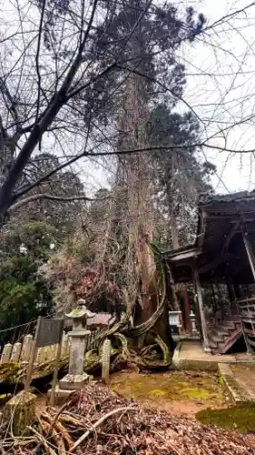 千磐神社(岡山県)