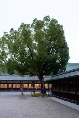 宗像大社(福岡県)