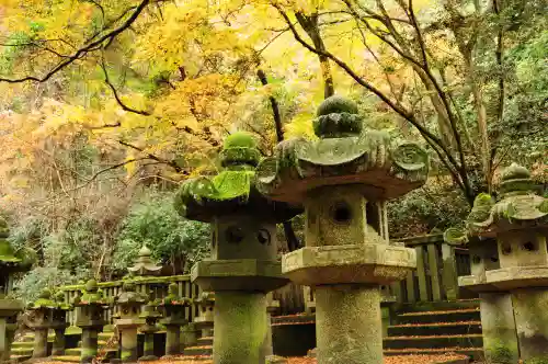 大照院(山口県)