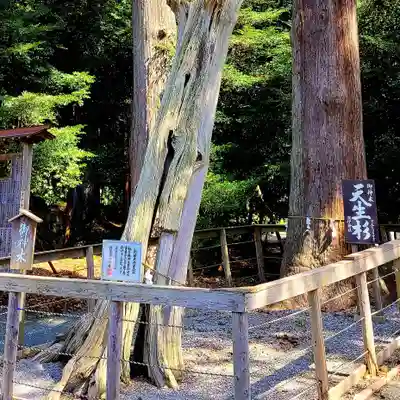 渭伊神社(静岡県)