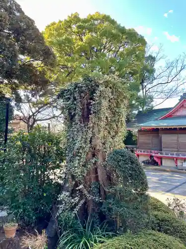 玉川神社(東京都)