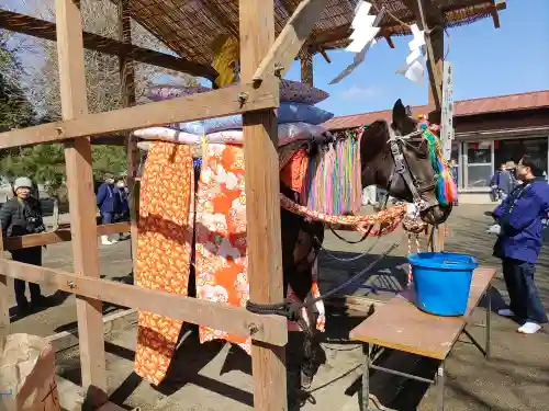 篠塚稲荷神社(栃木県)