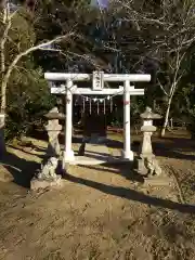 白子神社の鳥居