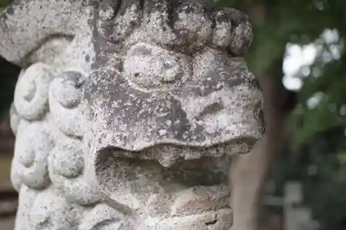 瀧宮神社の狛犬