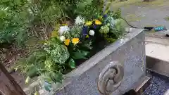 赤坂氷川神社の手水