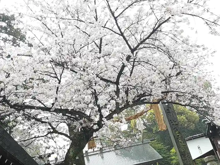 伊勢山皇大神宮(神奈川県)