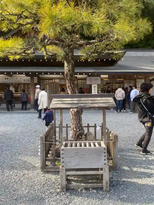 小國神社(静岡県)