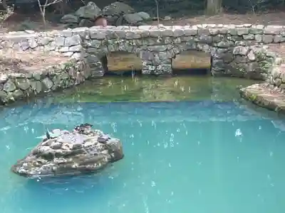 大麻比古神社(徳島県)
