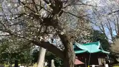 酒門神社の建物その他