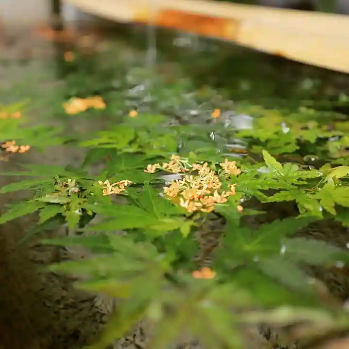 星宮神社の手水舎