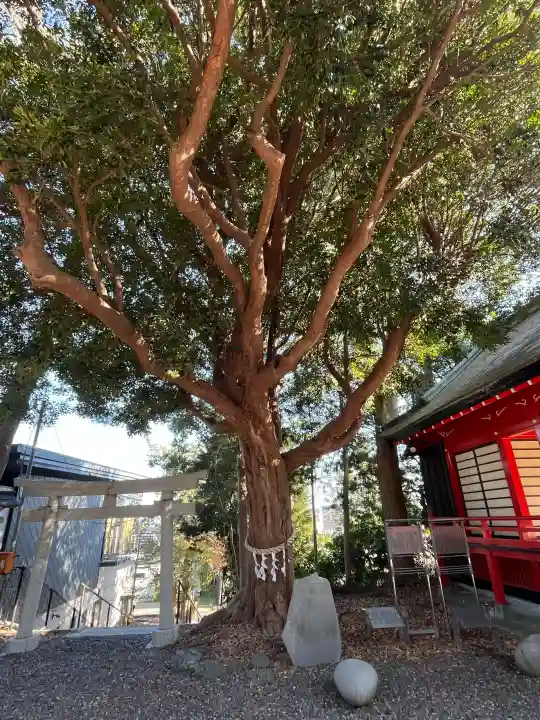 玉前神社の{uncategorized: "未分類", other: "その他", undefined: "問題あり", building: "その他建物", grave: "お墓", sacred_gate: "鳥居", guardian: "狛犬", statue: "像", buddha: "仏像", history: "歴史", nature: "自然", garden: "庭園", animal: "動物", pagoda: "塔", temizu: "手水舎", mountain_gate: "山門・神門", sanctuary: "本殿・本堂", subordinate: "末社・摂社", art: "芸術", scenery: "景色", jizo: "地蔵", ema: "絵馬", goshuin: "御朱印", omikuji: "おみくじ", items: "授与品その他", amulet: "お守り", goshuincho: "御朱印帳", eats: "食事", festival: "お祭り", votive_dance: "神楽", shichigosan: "七五三参", wedding: "結婚式", experience: "体験その他", initially: "初詣", around: "周辺", anti_infection: "感染症対策"}