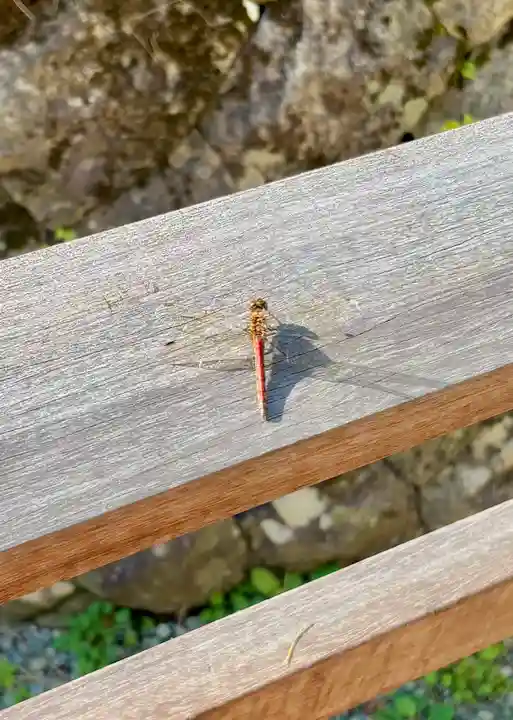 蚊里田八幡宮(長野県)