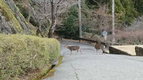 青岸渡寺(和歌山県)