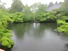 醍醐寺(京都府)