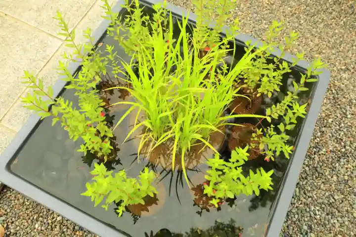 行田八幡神社(埼玉県)