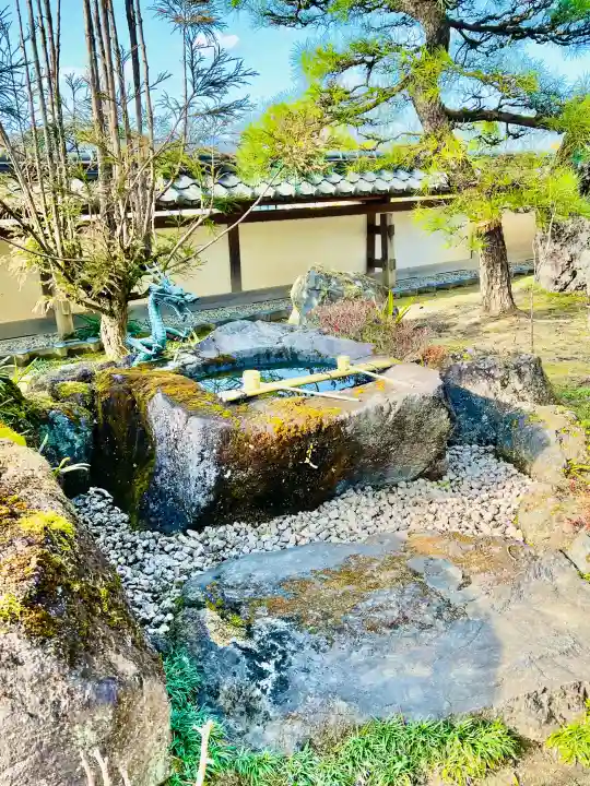 圓融寺の{uncategorized: "未分類", other: "その他", undefined: "問題あり", building: "その他建物", grave: "お墓", sacred_gate: "鳥居", guardian: "狛犬", statue: "像", buddha: "仏像", history: "歴史", nature: "自然", garden: "庭園", animal: "動物", pagoda: "塔", temizu: "手水舎", mountain_gate: "山門・神門", sanctuary: "本殿・本堂", subordinate: "末社・摂社", art: "芸術", scenery: "景色", jizo: "地蔵", ema: "絵馬", goshuin: "御朱印", omikuji: "おみくじ", items: "授与品その他", amulet: "お守り", goshuincho: "御朱印帳", eats: "食事", festival: "お祭り", votive_dance: "神楽", shichigosan: "七五三参", wedding: "結婚式", experience: "体験その他", initially: "初詣", around: "周辺", anti_infection: "感染症対策"}