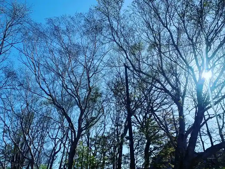 釧路一之宮 厳島神社の自然