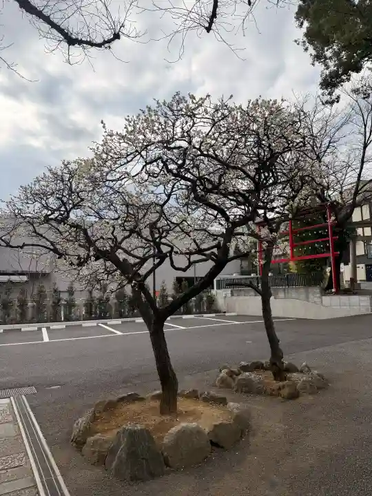 居木神社の{uncategorized: "未分類", other: "その他", undefined: "問題あり", building: "その他建物", grave: "お墓", sacred_gate: "鳥居", guardian: "狛犬", statue: "像", buddha: "仏像", history: "歴史", nature: "自然", garden: "庭園", animal: "動物", pagoda: "塔", temizu: "手水舎", mountain_gate: "山門・神門", sanctuary: "本殿・本堂", subordinate: "末社・摂社", art: "芸術", scenery: "景色", jizo: "地蔵", ema: "絵馬", goshuin: "御朱印", omikuji: "おみくじ", items: "授与品その他", amulet: "お守り", goshuincho: "御朱印帳", eats: "食事", festival: "お祭り", votive_dance: "神楽", shichigosan: "七五三参", wedding: "結婚式", experience: "体験その他", initially: "初詣", around: "周辺", anti_infection: "感染症対策"}