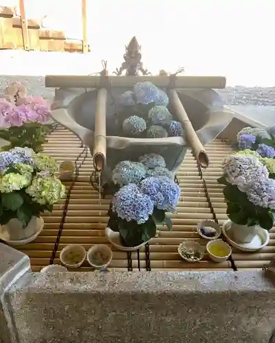 長谷寺の手水舎