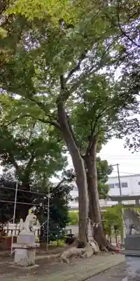 倉見神社(神奈川県)