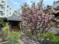 専心寺(東京都)