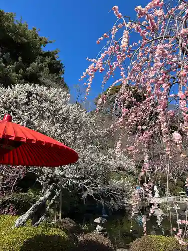 長谷寺(神奈川県)