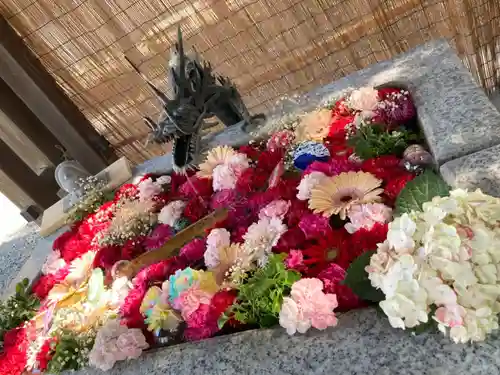 札幌諏訪神社の手水舎