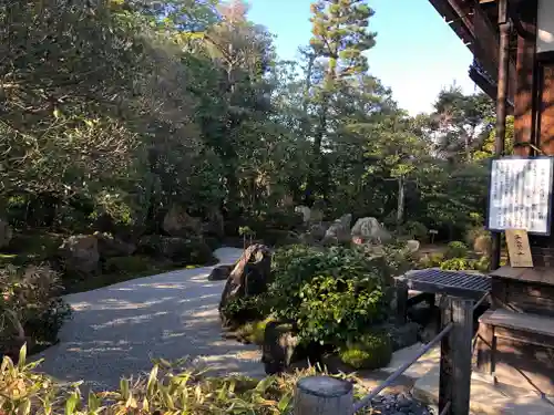 退蔵院の庭園