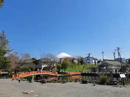 富士山本宮浅間大社(静岡県)