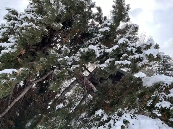 札幌護國神社の自然