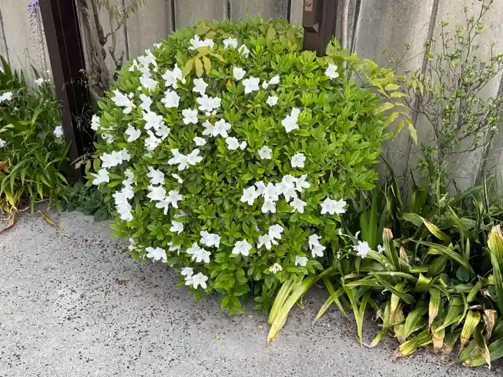 西方山極楽寺(岐阜県)