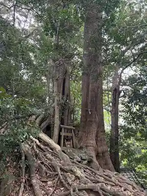 事任八幡宮(静岡県)