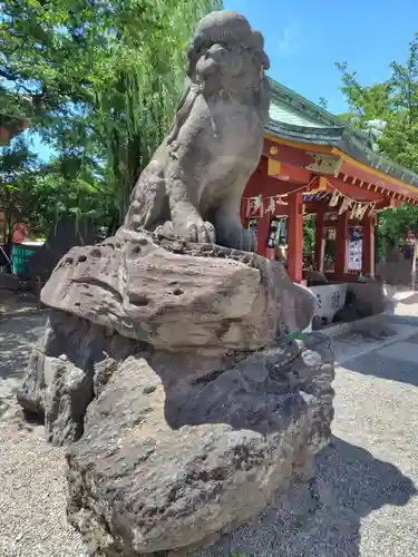 浅草神社の狛犬
