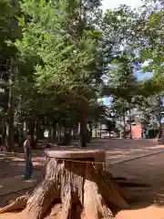 愛宕神社(茨城県)