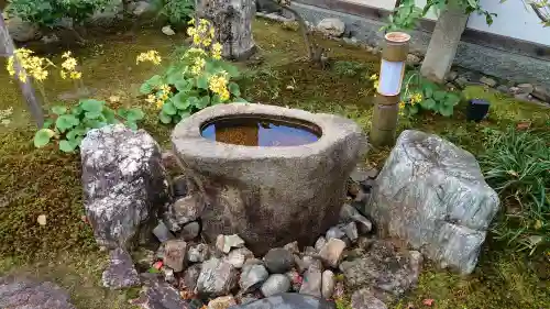 高台寺（高台寿聖禅寺・高臺寺）の{uncategorized: "未分類", other: "その他", undefined: "問題あり", building: "その他建物", grave: "お墓", sacred_gate: "鳥居", guardian: "狛犬", statue: "像", buddha: "仏像", history: "歴史", nature: "自然", garden: "庭園", animal: "動物", pagoda: "塔", temizu: "手水舎", mountain_gate: "山門・神門", sanctuary: "本殿・本堂", subordinate: "末社・摂社", art: "芸術", scenery: "景色", jizo: "地蔵", ema: "絵馬", goshuin: "御朱印", omikuji: "おみくじ", items: "授与品その他", amulet: "お守り", goshuincho: "御朱印帳", eats: "食事", festival: "お祭り", votive_dance: "神楽", shichigosan: "七五三参", wedding: "結婚式", experience: "体験その他", initially: "初詣", around: "周辺", anti_infection: "感染症対策"}