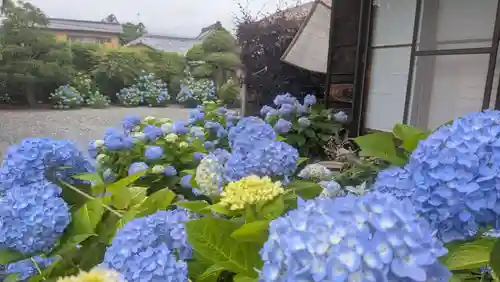 宗心寺(静岡県)