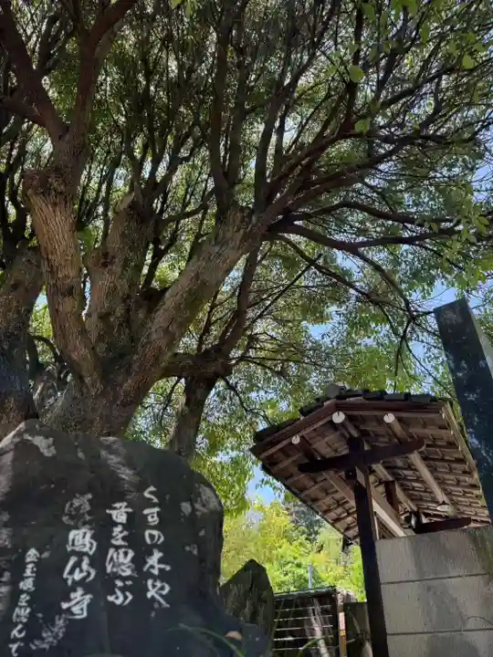 鳳仙寺(栃木県)