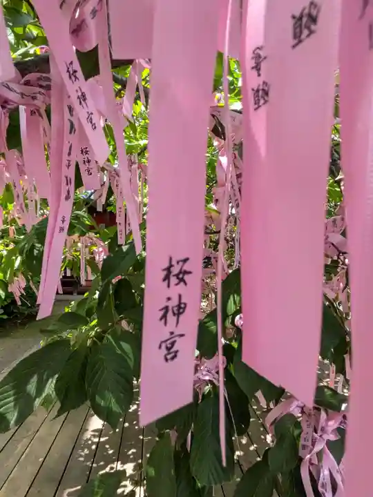 桜神宮(東京都)