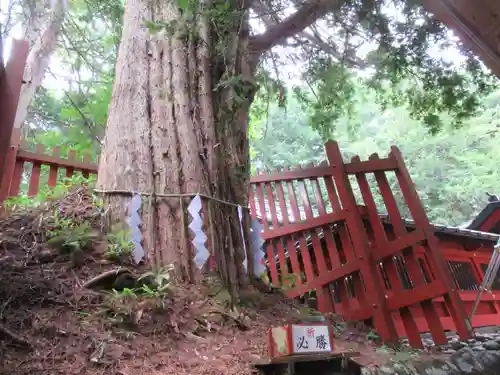 日光二荒山神社中宮祠(栃木県)