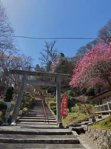 三春大神宮の鳥居