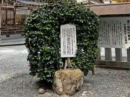 小國神社(静岡県)