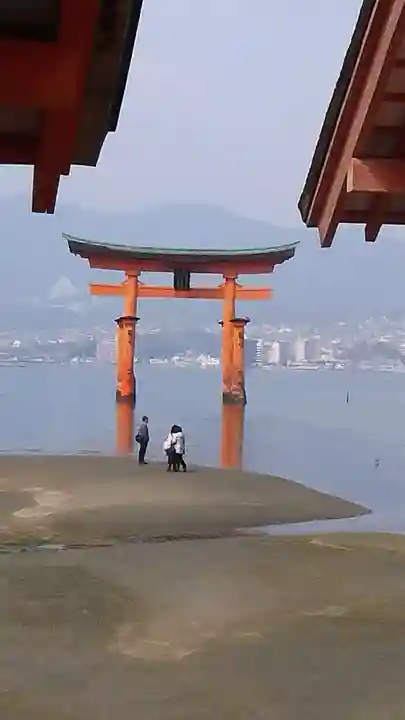厳島神社の鳥居