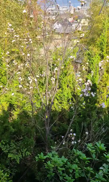 出雲大社倉敷教会(岡山県)