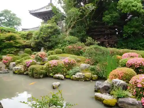 穴太寺の庭園