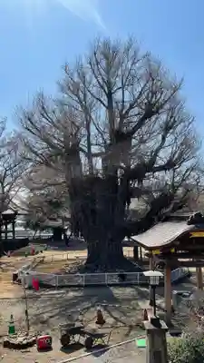 千葉寺(千葉県)