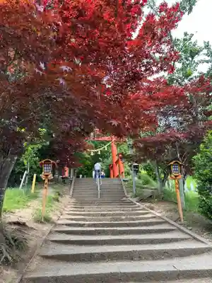 新倉富士浅間神社(山梨県)